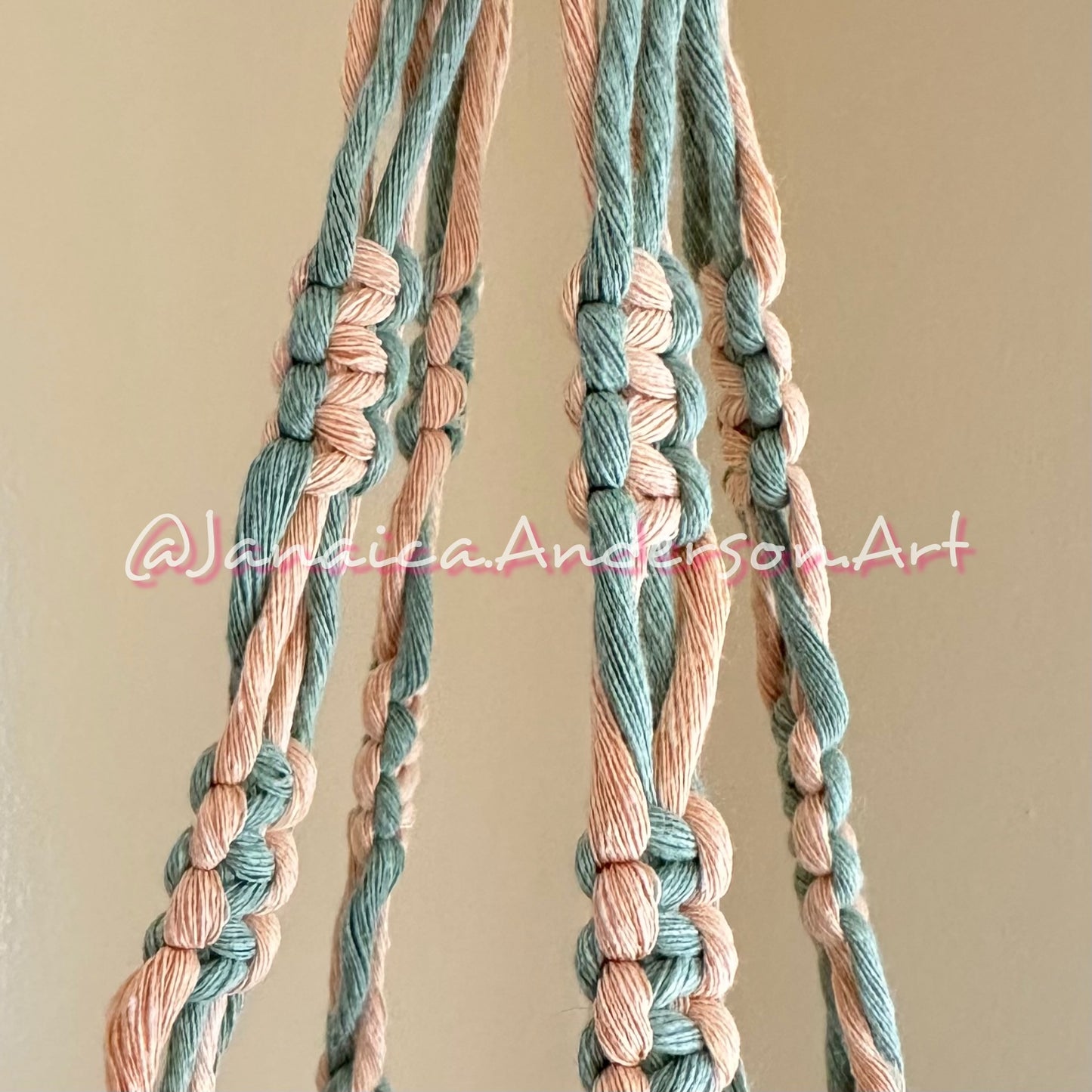 Macramé Plant Hanger Lg.2